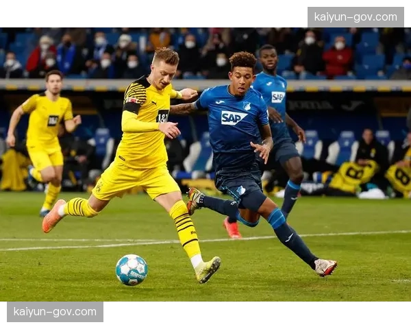 霍芬海姆主场控球率60%仍告负,进攻效率成致命伤